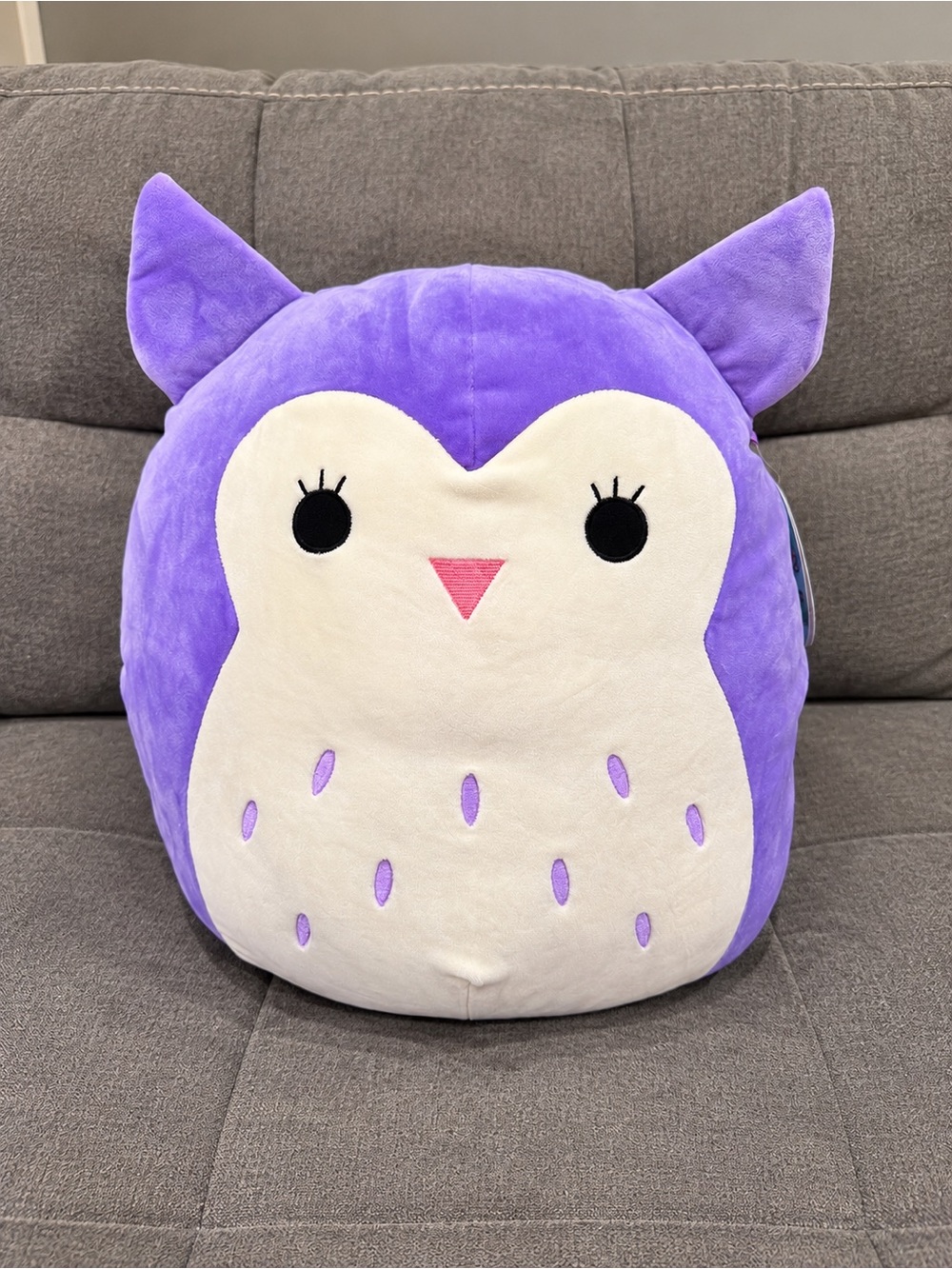 Squishmallows 16” Holly the Purple Owl 2019 Kellytoy NWT